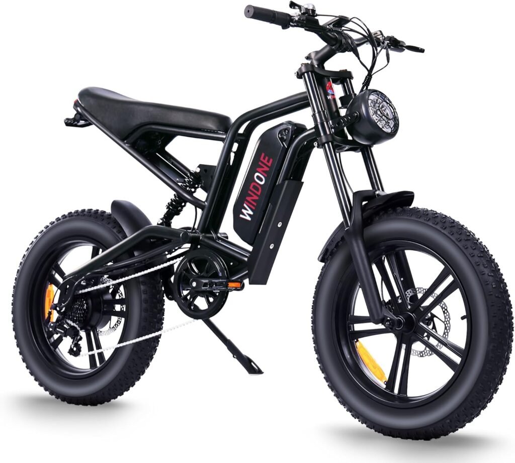 Explore Canada with WINDONE E-Bike: 45KM/H, 100KM Range, All-Terrain Fat Tires